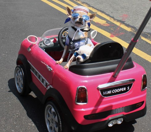 IMG_9002 - Copy - Copy