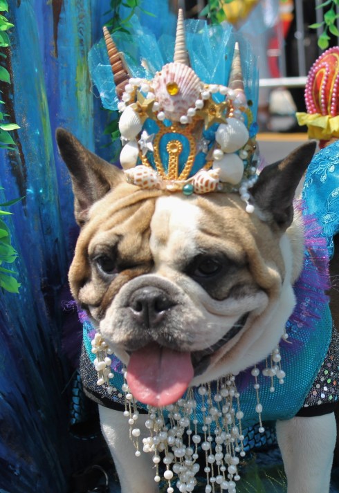 IMG_9067 - Copy - Copy